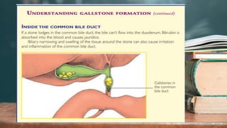 2 / 1 1 / 2 0 2 4
30
 