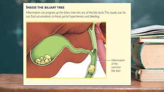 2 / 1 1 / 2 0 2 4
31
 