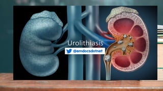 2 / 1 1 / 2 0 2 4
39
 