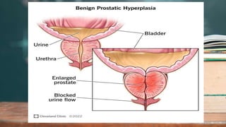 2 / 1 1 / 2 0 2 4
53
 