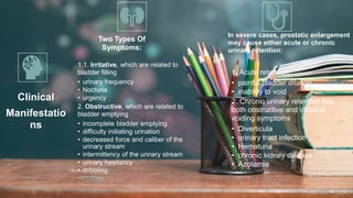 2 / 1 1 / 2 0 2 4
56
Clinical
Manifestatio
ns
Two Types Of
Symptoms:
1.1. Irritative, which are related to
bladder filling
• urinary frequency
• Nocturia
• urgency
2. Obstructive, which are related to
bladder emptying
• incomplete bladder emptying
• difficulty initiating urination
• decreased force and caliber of the
urinary stream
• intermittency of the urinary stream
• urinary hesitancy
• dribbling.
In severe cases, prostatic enlargement
may cause either acute or chronic
urinary retention:
1. Acute retention:
• painful bladder dilation
• inability to void
2. Chronic urinary retention has
both obstructive and irritative
voiding symptoms
• Diverticula
• urinary tract infection
• Hematuria
• chronic kidney disease
• Azotemia
 