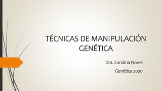 TÉCNICAS DE MANIPULACIÓN
GENÉTICA
Dra. Carolina Flores
Genética 2020
 