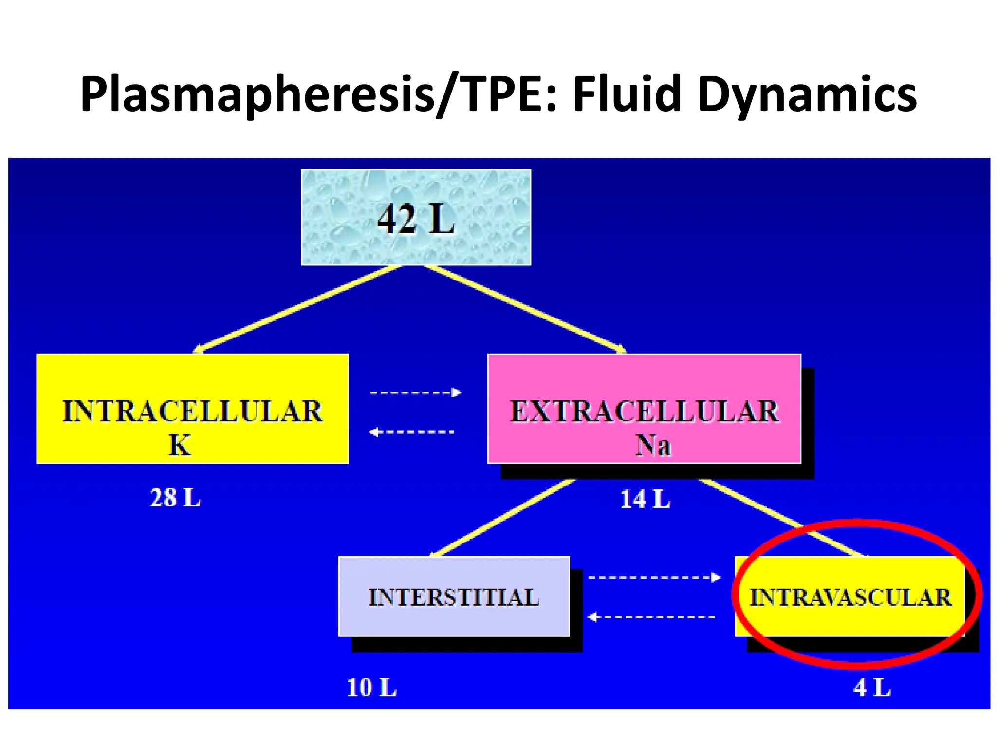 Plasmapheresis/TPE: Fluid Dynamics
 
