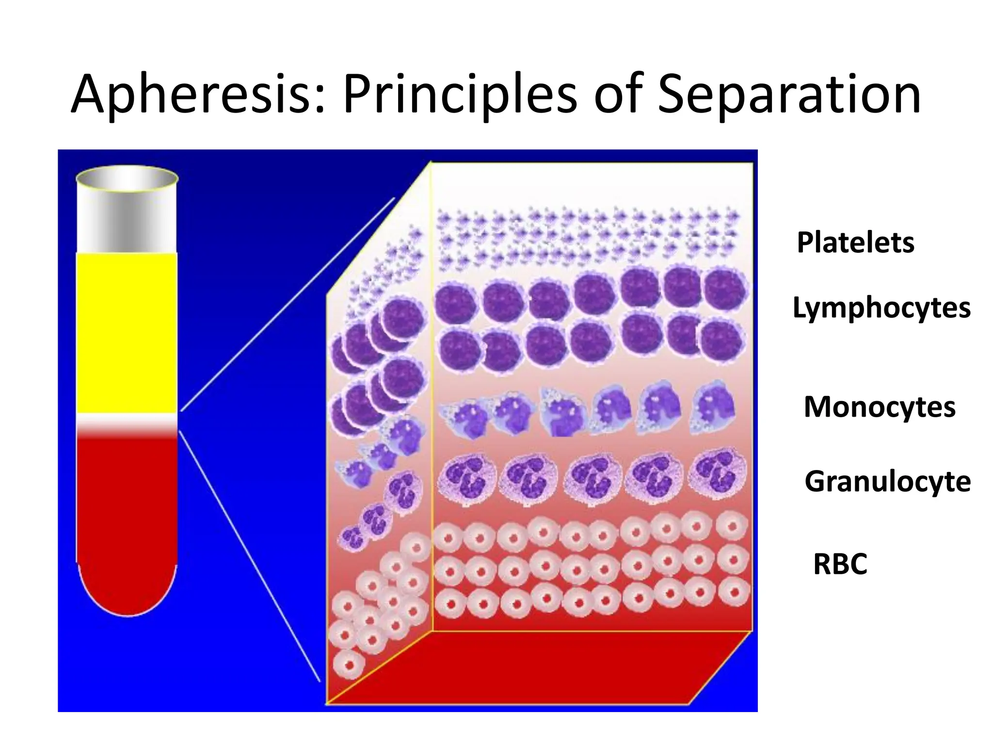 Apheresis: Principles of Separation
Platelets
Lymphocytes
Monocytes
Granulocyte
RBC
 