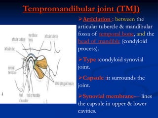 Tmj Line 11. muscles o f mastication.ppt