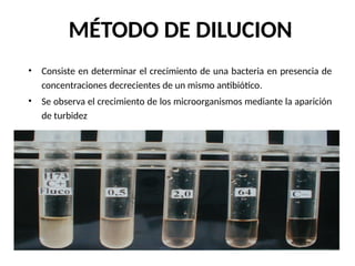 MÉTODO DE DILUCION
• Consiste en determinar el crecimiento de una bacteria en presencia de
concentraciones decrecientes de un mismo antibiótico.
• Se observa el crecimiento de los microorganismos mediante la aparición
de turbidez
 