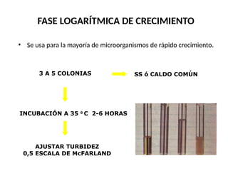 FASE LOGARÍTMICA DE CRECIMIENTO
• Se usa para la mayoría de microorganismos de rápido crecimiento.
3 A 5 COLONIAS SS ó CALDO COMÚN
INCUBACIÓN A 35 0
C 2-6 HORAS
AJUSTAR TURBIDEZ
0,5 ESCALA DE McFARLAND
 