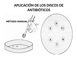 APLICACIÓN DE LOS DISCOS DE
ANTIBIÓTICOS
MÉTODO MANUAL
 