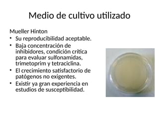 Medio de cultivo utilizado
Mueller Hinton
• Su reproducibilidad aceptable.
• Baja concentración de
inhibidores, condición crítica
para evaluar sulfonamidas,
trimetoprim y tetraciclina.
• El crecimiento satisfactorio de
patógenos no exigentes.
• Existir ya gran experiencia en
estudios de susceptibilidad.
 