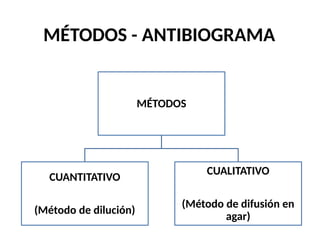 MÉTODOS - ANTIBIOGRAMA
MÉTODOS
CUANTITATIVO
(Método de dilución)
CUALITATIVO
(Método de difusión en
agar)
 