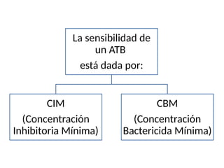 La sensibilidad de
un ATB
está dada por:
CIM
(Concentración
Inhibitoria Mínima)
CBM
(Concentración
Bactericida Mínima)
 