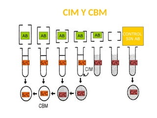 CIM Y CBM
S/C S/C
S/C S/C S/C S/C
AB AB AB AB AB CONTROL
SIN AB
C/C C/C
C/C C/C C/C
C/C
 