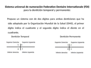 Fdi Temporal Tipos de Nomenclatura Dental utilizados.pptx