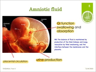 11. Amniotic fluid Disorders in pregnancy | PDF