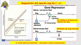 MUTACIONES BACTERIANAS Y SISTEMAS DE REPARACION | PPTX