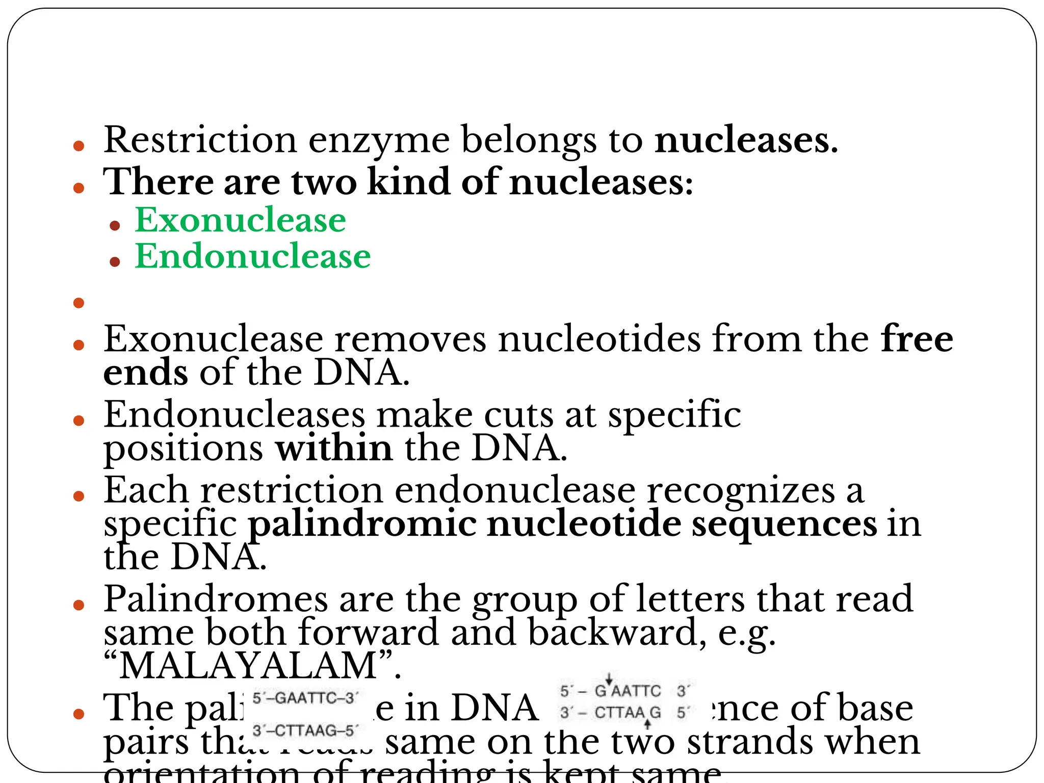 ⚫ Restriction enzyme belongs to nucleases.
⚫ There are two kind of nucleases:
⚫ Exonuclease
⚫ Endonuclease
⚫
⚫ Exonuclease removes nucleotides from the free
ends of the DNA.
⚫ Endonucleases make cuts at specific
positions within the DNA.
⚫ Each restriction endonuclease recognizes a
specific palindromic nucleotide sequences in
the DNA.
⚫ Palindromes are the group of letters that read
same both forward and backward, e.g.
“MALAYALAM”.
⚫ The palindrome in DNA is a sequence of base
pairs that reads same on the two strands when
 