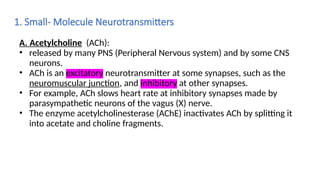 11. Chapter 12_Nervous systemin anatomy-I.pptx