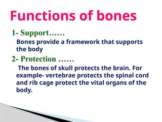 11. BONE TISSUE.pptx Histology of bone tissue | PPTX