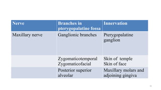 Comprehensive Overview of Trigeminal and Facial Nerve Anatomy and ...