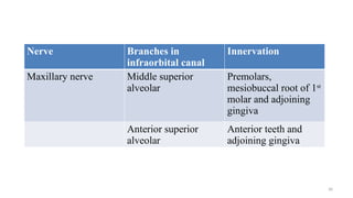 Comprehensive Overview of Trigeminal and Facial Nerve Anatomy and ...