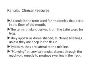 Comprehensive Overview of Salivary Gland Disorders: Anatomy, Physiology ...