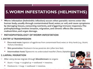 5.WORM INFESTATIONS (HELMINTHS)
 Worm infestation (helminthic infection) occurs when parasitic worms enter the
human body, usually through contaminated food, water, or soil, and cause symptoms
by damaging tissues, consuming nutrients, and triggering immune responses.The
pathophysiology involves invasion, migration, and chronic effects like anemia,
malnutrition, and organ damage.
 PATHOPHYSIOLOGY OF WORM INFESTATION
1. ENTRY &TRANSMISSION
 Feco oral route
‑ : Ingestion of eggs/larvae from contaminated food, water, or dirty hands (e.g., Ascaris,
Trichuris, Enterobius).
 Skin penetration: Hookworm larvae penetrate skin (often bare feet).
 Intermediate hosts:Tapeworms via undercooked meat/fish (Taenia, Diphyllobothrium).
2. LARVAL MIGRATION
o After entry, larvae migrate through bloodstream to organs:
 Ascaris lungs coughed up swallowed intestines.
→ → → →
 Hookworms lungs swallowed intestines.
→ → →
 