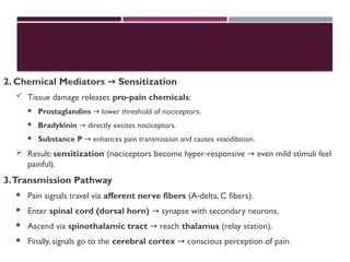 2. Chemical Mediators Sensitization
→
 Tissue damage releases pro pain chemicals
‑ :
 Prostaglandins lower threshold of nociceptors.
→
 Bradykinin directly excites nociceptors.
→
 Substance P enhances pain transmission and causes vasodilation.
→
 Result: sensitization (nociceptors become hyper responsive even mild stimuli feel
‑ →
painful).
3.Transmission Pathway
 Pain signals travel via afferent nerve fibers (A delta, C fibers).
‑
 Enter spinal cord (dorsal horn) synapse with secondary neurons.
→
 Ascend via spinothalamic tract reach
→ thalamus (relay station).
 Finally, signals go to the cerebral cortex conscious perception of pain.
→
 
