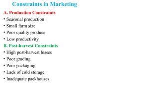 Constraints in Marketing
A. Production Constraints
• Seasonal production
• Small farm size
• Poor quality produce
• Low productivity
B. Post-harvest Constraints
• High post-harvest losses
• Poor grading
• Poor packaging
• Lack of cold storage
• Inadequate packhouses
 