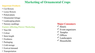 Marketing of Ornamental Crops
Important Products
• Cut flowers
• Loose flowers
• Potted plants
• Ornamental foliage
• Landscaping plants
• Nursery seedlings
Factors Affecting Flower Marketing
• Vase life
• Colour
• Stem length
• Freshness
• Packaging
• Cold storage
• Festival demand
• Transportation
Major Consumers
 Hotels
 Event organizers
 Temples
 Offices
 Landscapers
 Households
 