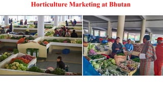 Horticulture Marketing at Bhutan
 