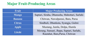 Major Fruit-Producing Areas
Fruit Major Producing Areas
Mango Saptari, Siraha, Dhanusha, Mahottari, Sarlahi
Banana Chitwan, Nawalparasi, Bara, Parsa
Citrus Sindhuli, Dhankuta, Syangja, Gulmi
Apple Mustang, Jumla, Dolpa, Humla
Litchi
Morang, Sunsari, Jhapa, Saptari, Sarlahi,
Rautahat, Bara,Parsa, Chitwan
 