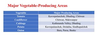 Major Vegetable-Producing Areas
Vegetable Major Producing Areas
Tomato Kavrepalanchok, Dhading, Chitwan
Cauliflower Chitwan, Makwanpur
Cabbage Kathmandu Valley, Dhading
Potato Kavrepalanchok, Dolakha, Sindhupalchok
Onion Bara, Parsa, Banke
 