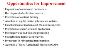 Opportunities for Improvement
• Expansion of commercial horticulture.
• Development of collection centers.
• Promotion of contract farming.
• Adoption of digital market information systems.
• Establishment of modern cold chain infrastructure.
• Promotion of export-oriented production.
• Increased value addition and processing.
• Strengthening farmer cooperatives.
• Investment in refrigerated transportation.
• Adoption of Good Agricultural Practices (GAP).
 