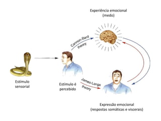 Estímulo
sensorial
Estímulo é
percebido
Experiência emocional
(medo)
Expressão emocional
(respostas somáticas e viscerais)
 