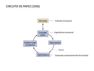 CIRCUITO DE PAPEZ (1930)
Colorido emocional
Experiência emocional
Expressão comportamental da emocão
 