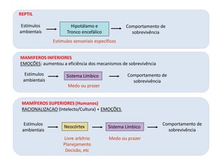 Estímulos
ambientais
Sistema Límbico Comportamento de
sobrevivência
MAMIFEROS INFERIORES
EMOÇÕES: aumentou a eficiência dos mecanismos de sobrevivência
Medo ou prazer
REPTIL
Estímulos
ambientais
Comportamento de
sobrevivência
Hipotálamo e
Tronco encefálico
Estímulos sensoriais específicos
Comportamento de
sobrevivência
Estímulos
ambientais
MAMÍFEROS SUPERIORES (Humanos)
RACIONALIZACAO (Intelecto/Cultura) + EMOÇÕES
Neocórtex Sistema Límbico
Medo ou prazerLivre arbítrio
Planejamento
Decisão, etc
 