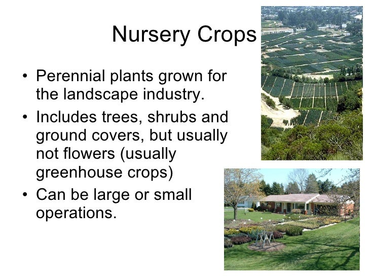 11 2 Producing Nursery Crops