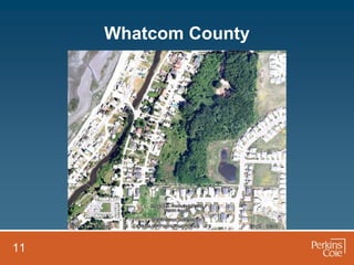 Whatcom County




11
 