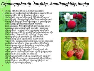 Օգտագործումը ՝հույներ ,հռոմեացիներ,հայեր
 Դեռևս հին հույներն ու հռոմեացիներն
անտառից հավաքած ազնվամորու պտուղներն
օգտագործել են ոչ միայն ուտելու, այլև
բուժական նպատակներով: Հին Ռուսիայում
օրգանիզմի առույգության համար առավոտյան
ժամերին ըմպել են ազնվամորու և լոռամրգու
պտուղներից պատրաստված խոշապ:
Հայրենական ժողովրդական բժշկության մեջ
ազնվամորու պտուղների թուրմը լայնորեն
կիրառվում է գրիպի, մի շարք ցրտառական
հիվանդությունների, քրոնիկական ռևմատիզմի
ժամանակ: Պտուղների եփուկը մեղրի հետ
օգտագործվել է կարմրուկի ժամանակ:
Պտուղները լայն կիրառում ունեն նաև
լնդախտի, սակավարյունության, ստամոքսային
ցավերի ժամանակ: Օգտագործվում են նաև
մարսողությունը լավացնելու և ալկոհոլային
հարբածությունից սթափեցնելու
նպատակներով:Հայկական ժողովրդական
բժշկության մեջ ազնվամորու պտուղները լայն
կիրառում են ունեցել տենդային
հիվանդությունների, իսկ ծաղիկների թուրմը`
օձի կծածի դեպքերում, թրջոցների ձևով: Որոշ
շրջաններում տերևներն օգտագործվում են
որպես վերքամոքիչ միջոց:

 