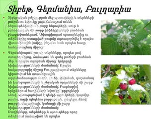 Տիբեթ, Գերմանիա, Բուլղարիա
 Տիբեթական բժշկության մեջ պտուղների և տերևների
թուրմն ու եփուկը լայն ճանաչում ունեն
նևրասթենիայի, մի շարք նևրոզների, սուր և
քրոնիկական մի շարք ինֆեկցիաների բուժման
բնագավառներում: Ավստրիայում պտուղներից ու
տերևներից ստացված թուրմը օգտագործվել է որպես
վիտամինային խմիչք, ինչպես նաև որպես հազը
հանգստացնող միջոց:
 Գերմանիայում բույսի տերևները, որպես լավ
տտպող միջոց, ճանաչում են գտել լուծերի բուժման
մեջ, և որպես ողողման միջոց` կոկորդի
հիվանդությունների ժամանակ: Որպես
հակաբորբոքիչ միջոց Բուլղարիայում տերևները
կիրառվում են ստամոքսային
արյունահոսությունների, լուծի, փսխման, դաշտանայ
ին խանգարումների և շնչական օրգանների մի շարք
հիվանդությունների ժամանակ: Բազմաթիվ
երկրներում ծաղիկների եփուկը` թրջոցների
ձևով, օգտագործվում է դեմքի պզուկների, կարմիր
քամու, աչքի պնդենու բորբոքման, ըմպելու ձևով`
թութքի, մալարիայի, կանացի մի շարք
հիվանդությունների ժամանակ:
Ծաղիկները, տերևները և պտուղները որոշ
տեղերում ճանաչվում են որպես
 