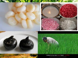 คอร์ม (Corm)
 