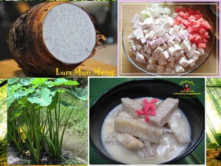 คอร์ม (Corm)
 