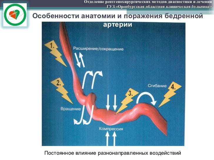 Форд диагностика оренбург