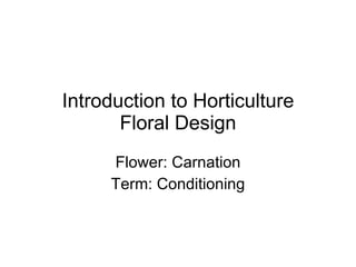 Introduction to Horticulture Floral Design Flower: Carnation Term: Conditioning 