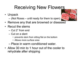 Receiving New Flowers Unpack (Not Roses – until ready for them to open) Remove any that are browned or diseased Recut the stems Cut 2” from end Cut on a slant prevents stem from sitting flat on the bottom Allows more surface area Place in warm conditioned water. Allow 30 min to 1 hour out of the cooler to rehydrate after shipping 