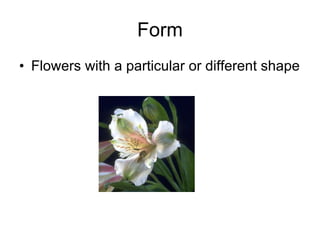 Form Flowers with a particular or different shape 