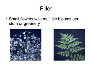 Filler Small flowers with multiple blooms per stem or greenery 