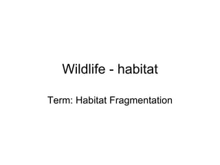 Wildlife - habitat Term: Habitat Fragmentation 