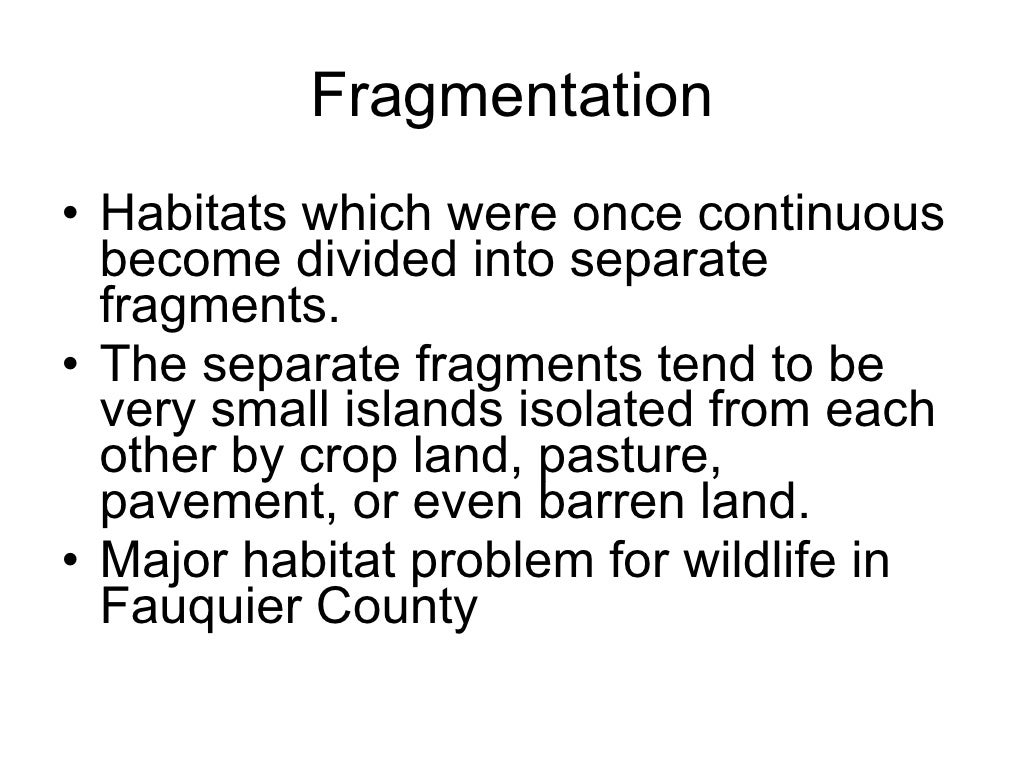 Habitat Fragmentation
