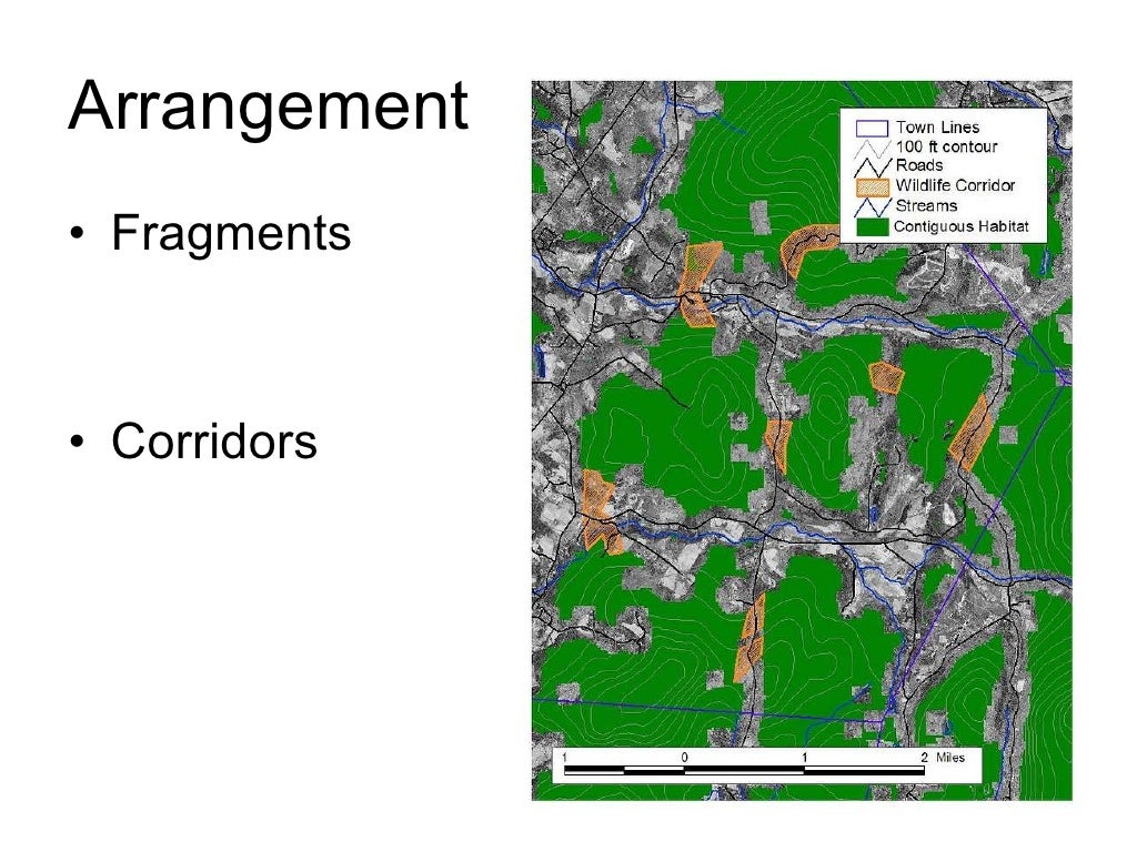 Habitat Fragmentation
